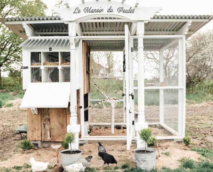 french inspired white cute chicken coops