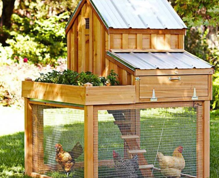 Wood chicken coops with multiple stories and metal roof