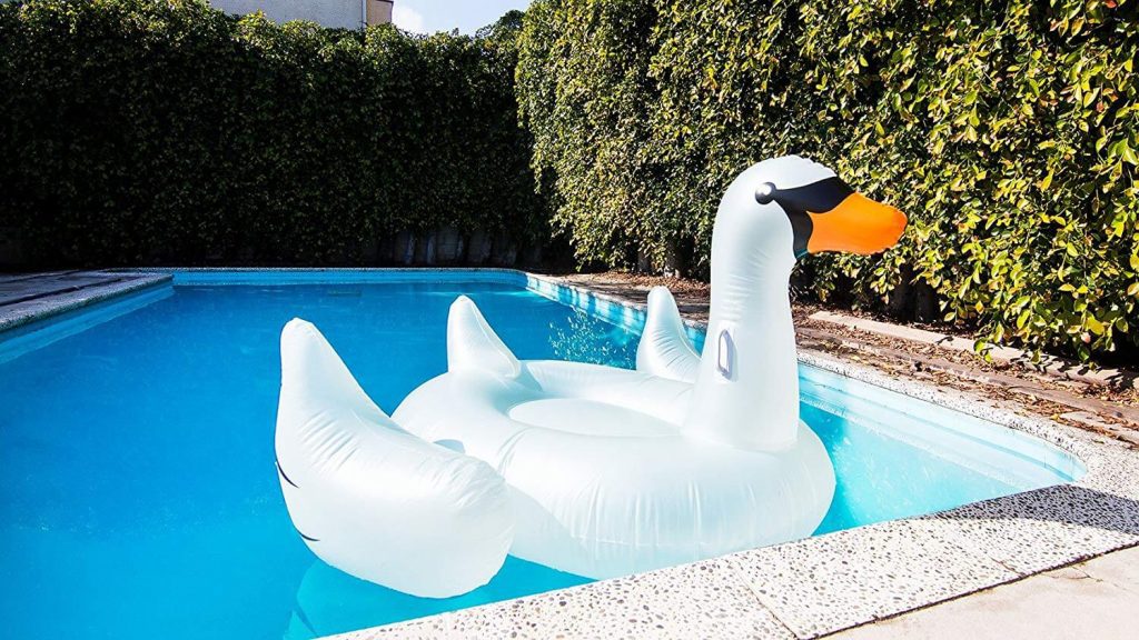 Swan pool floatie