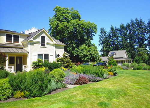 Image of Hey Day Farm restaurant surrounded by verdant bushes and shrubs.