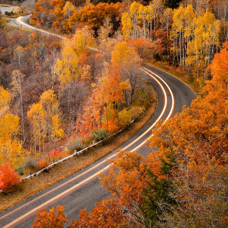 Empty road with fall foliage