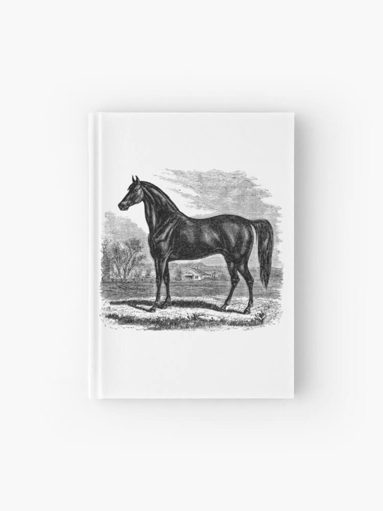 A hardcover journal with a vintage black and white illustration of a horse
