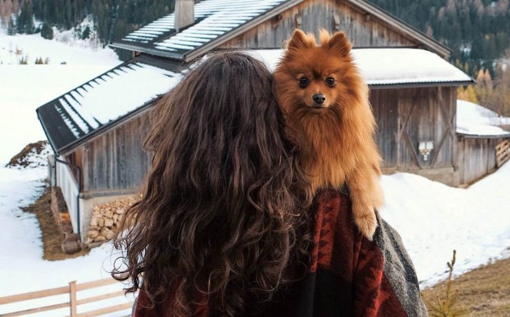 Woman holding small dog