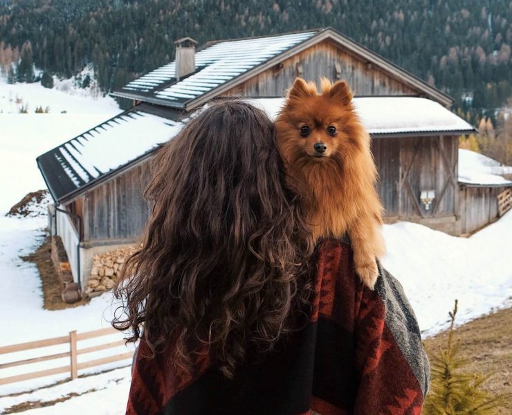 Woman holding small dog