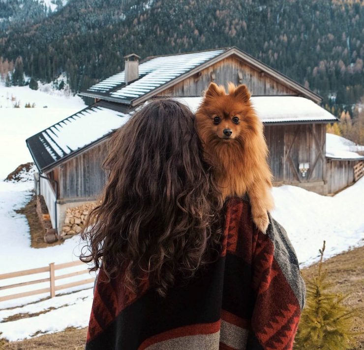 Woman holding small dog