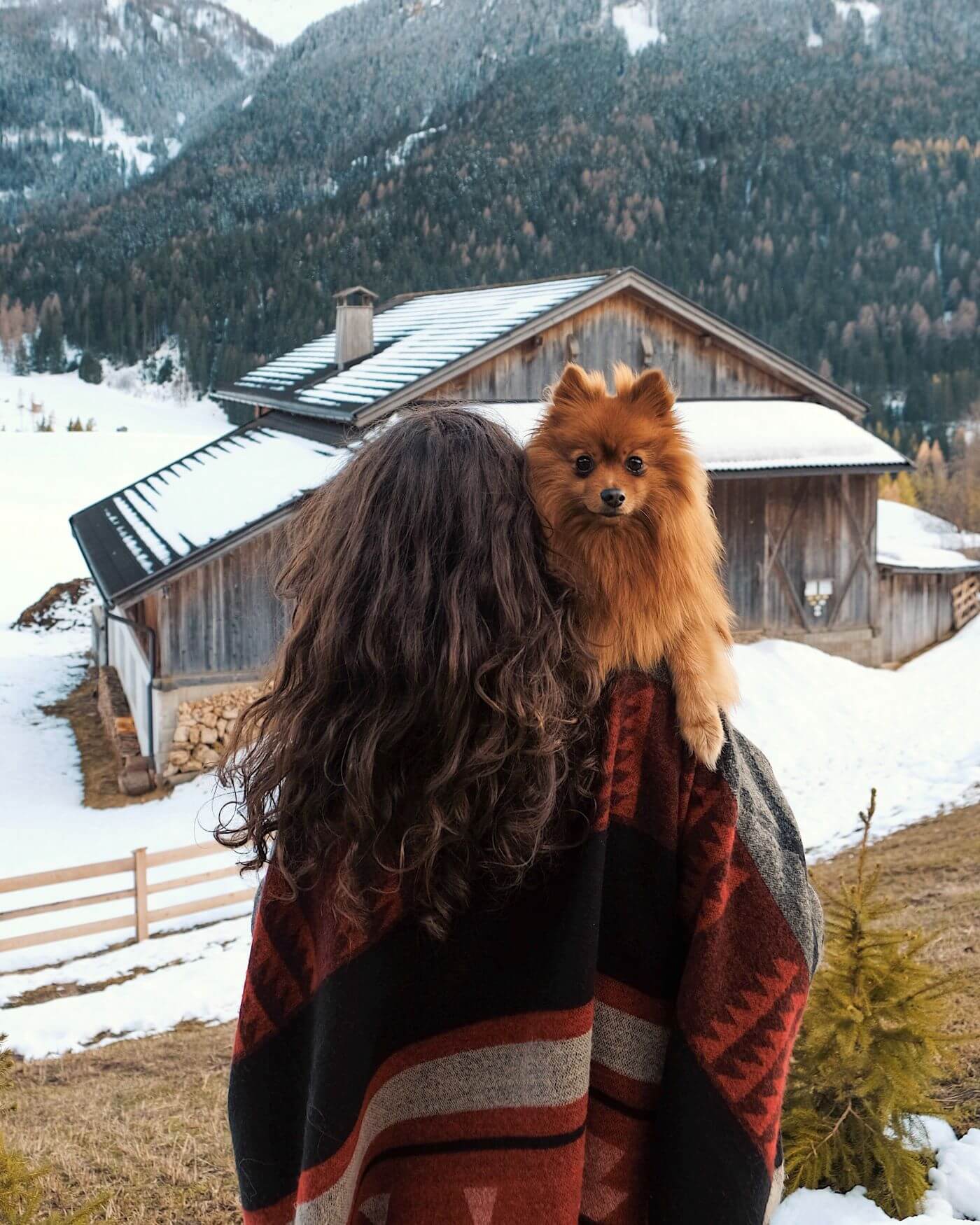 Woman holding small dog