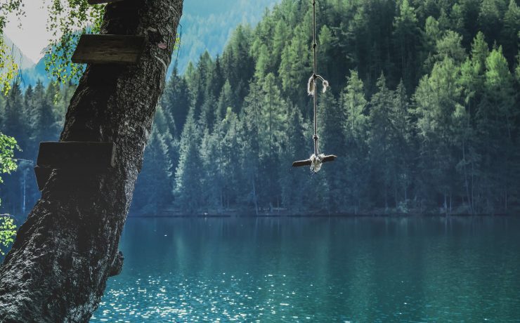 Lake and rope swing