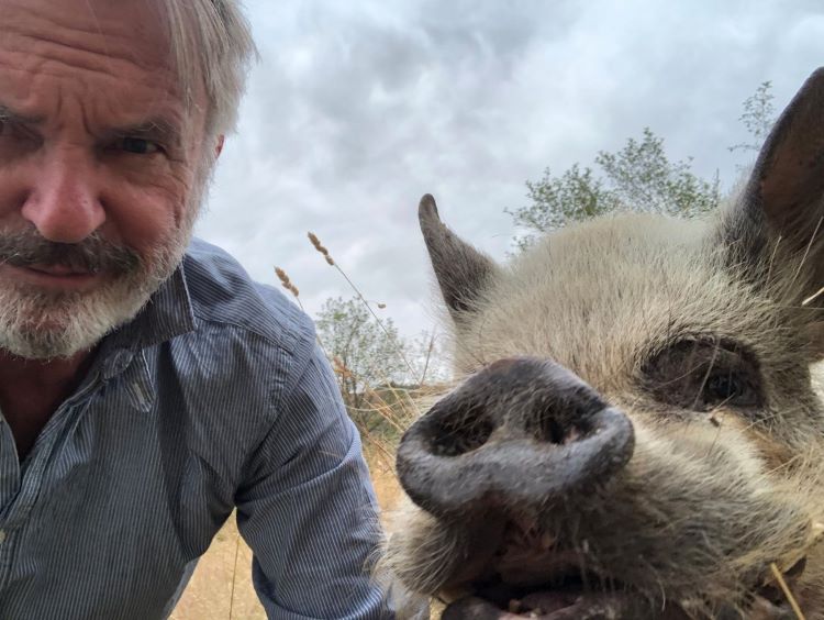Actor Sam Neill and his pig