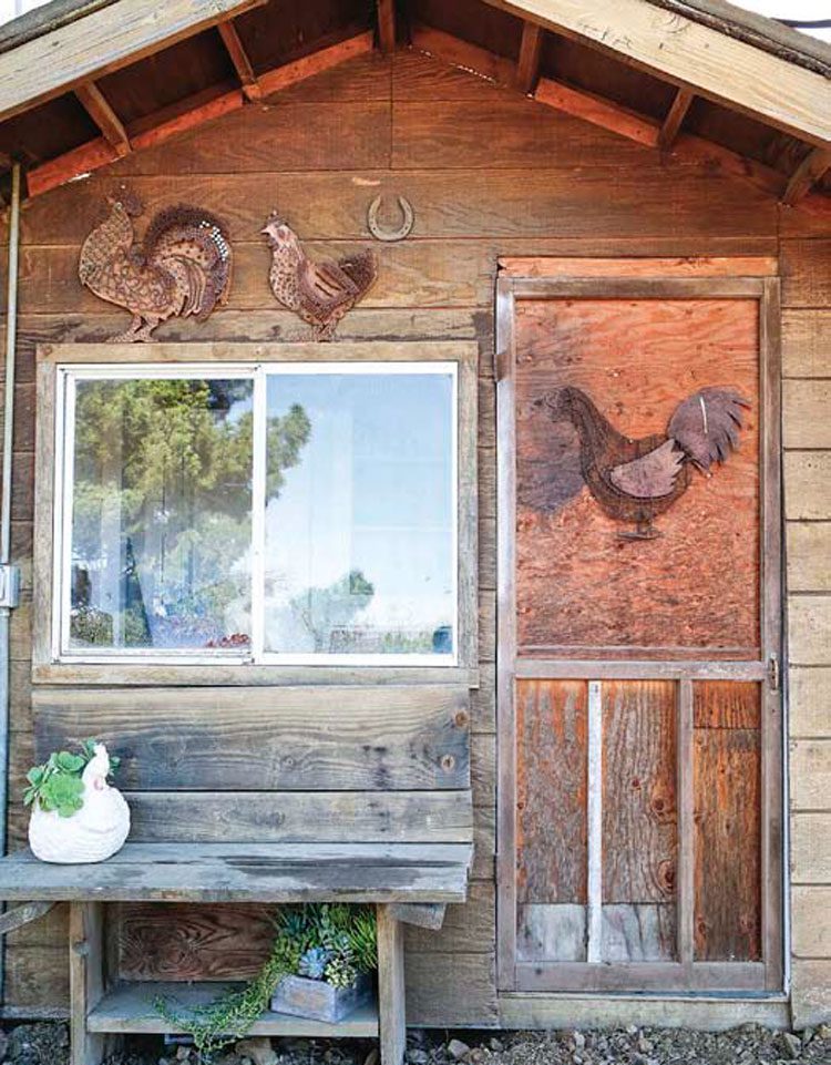 farmhouse shed with metal roosters and plants in ranch renovation