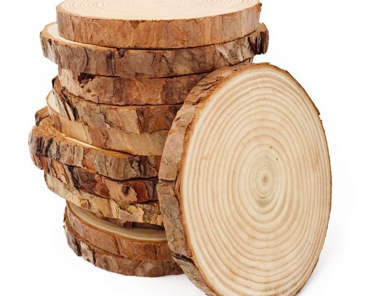 Stack of 11 unfinished wood slices with one resting against their sides to show the inner texture and rings