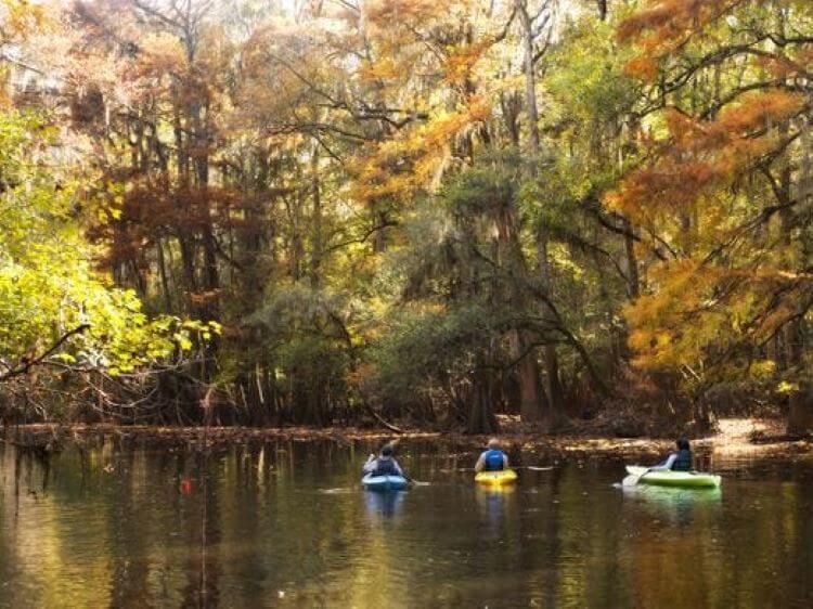 People in kayacs in river