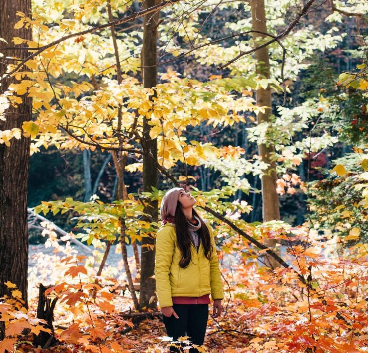 Woman looking up at trees