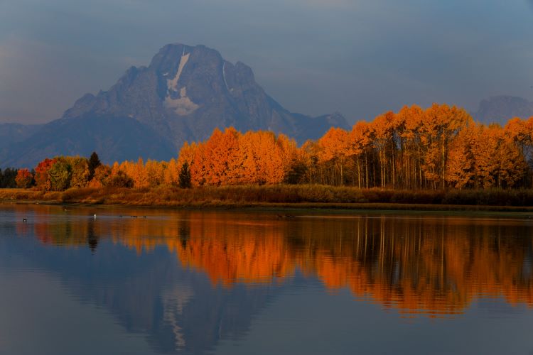 Autumn trees near Grand Tetons and lake view