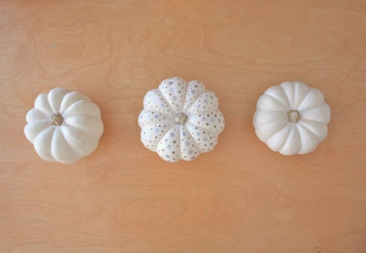 white no carve pumpkins with polka dots