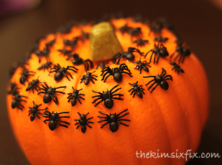 plastic spiders on no carve pumpkin