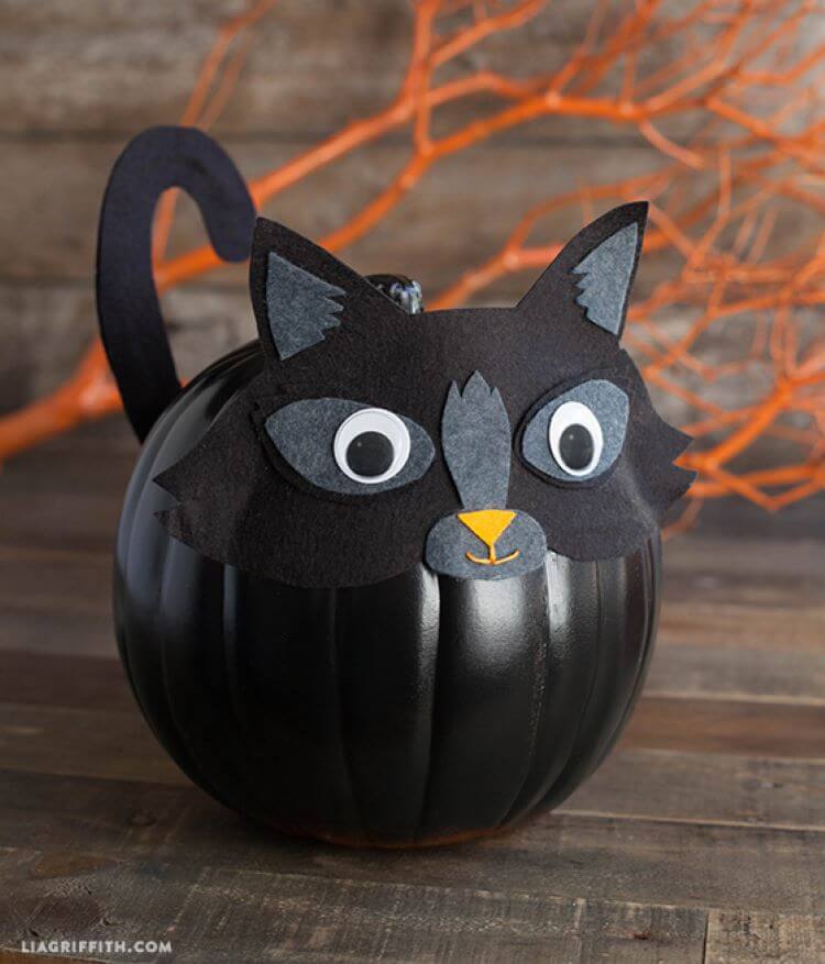 black cat no carve pumpkin