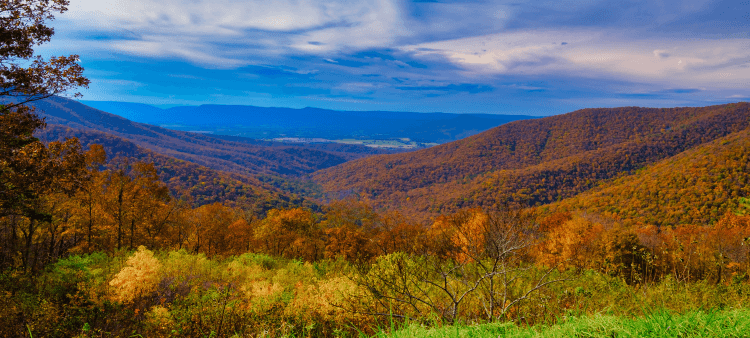 Slopping hills with fall foliage