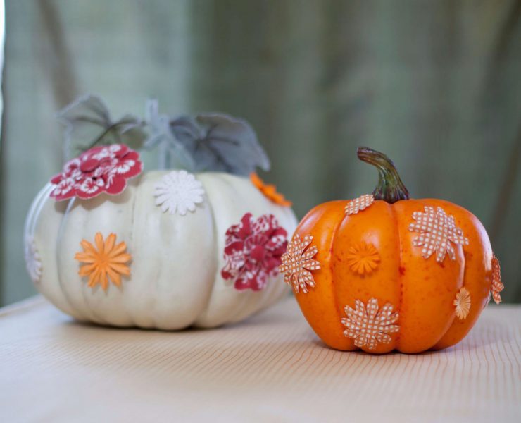 no carve pumpkins DIY
