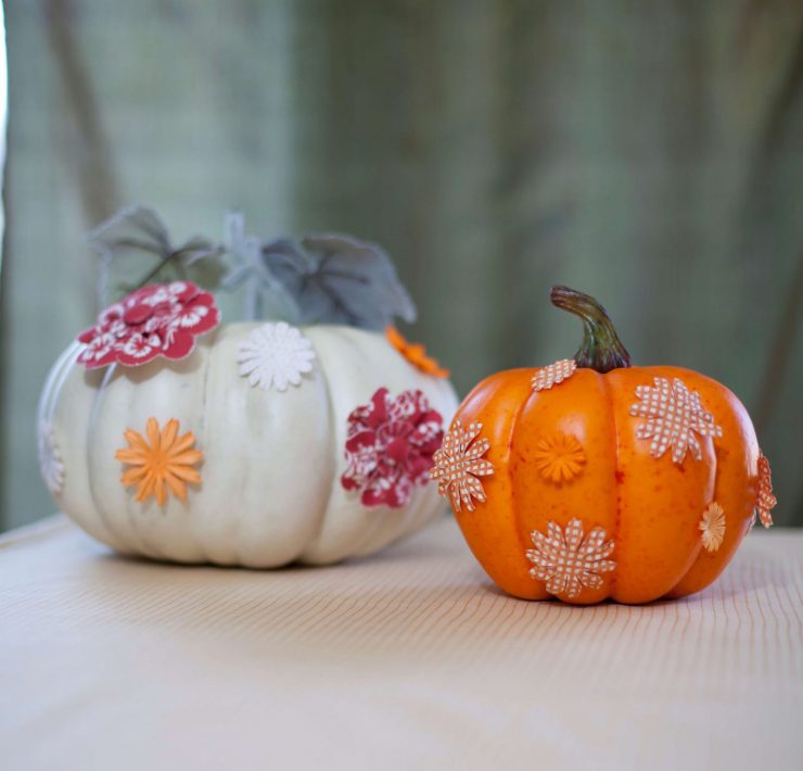 no carve pumpkins DIY