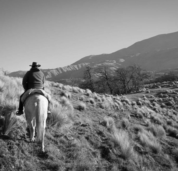 Lone cowboy on horseback