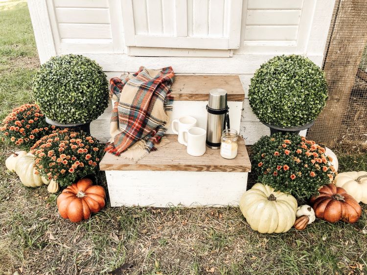 Fall pumpkins and coffee