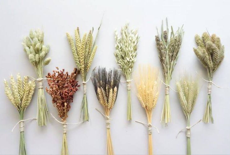Dried grains and flowers for rustic farmhouse thanksgiving