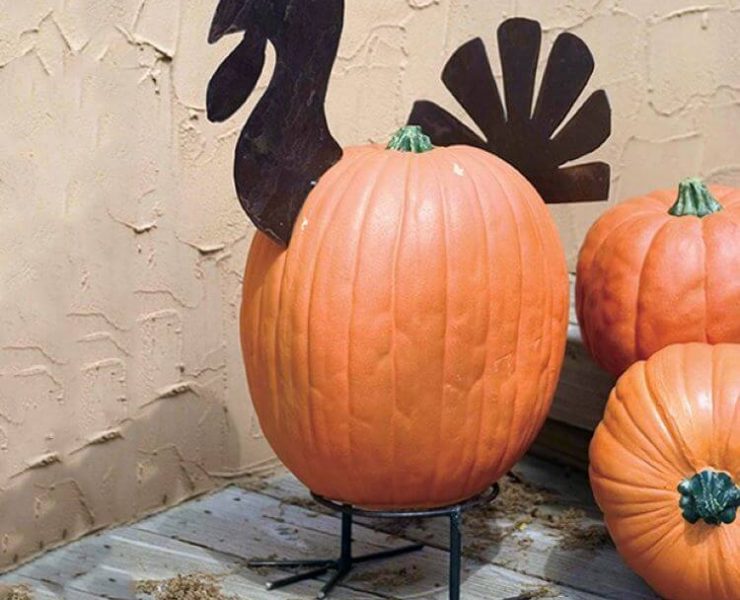 Rustic Farmhouse Thanksgivign turkey pumpkin