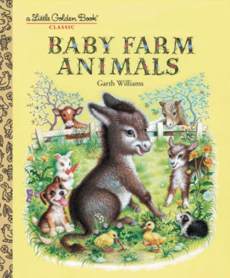 Child's book on baby farm animals makes a great Christmas gift.