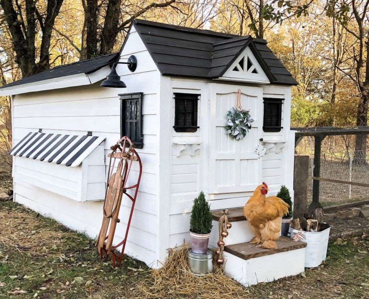 Winterize the chicken coop with festive decor for winter