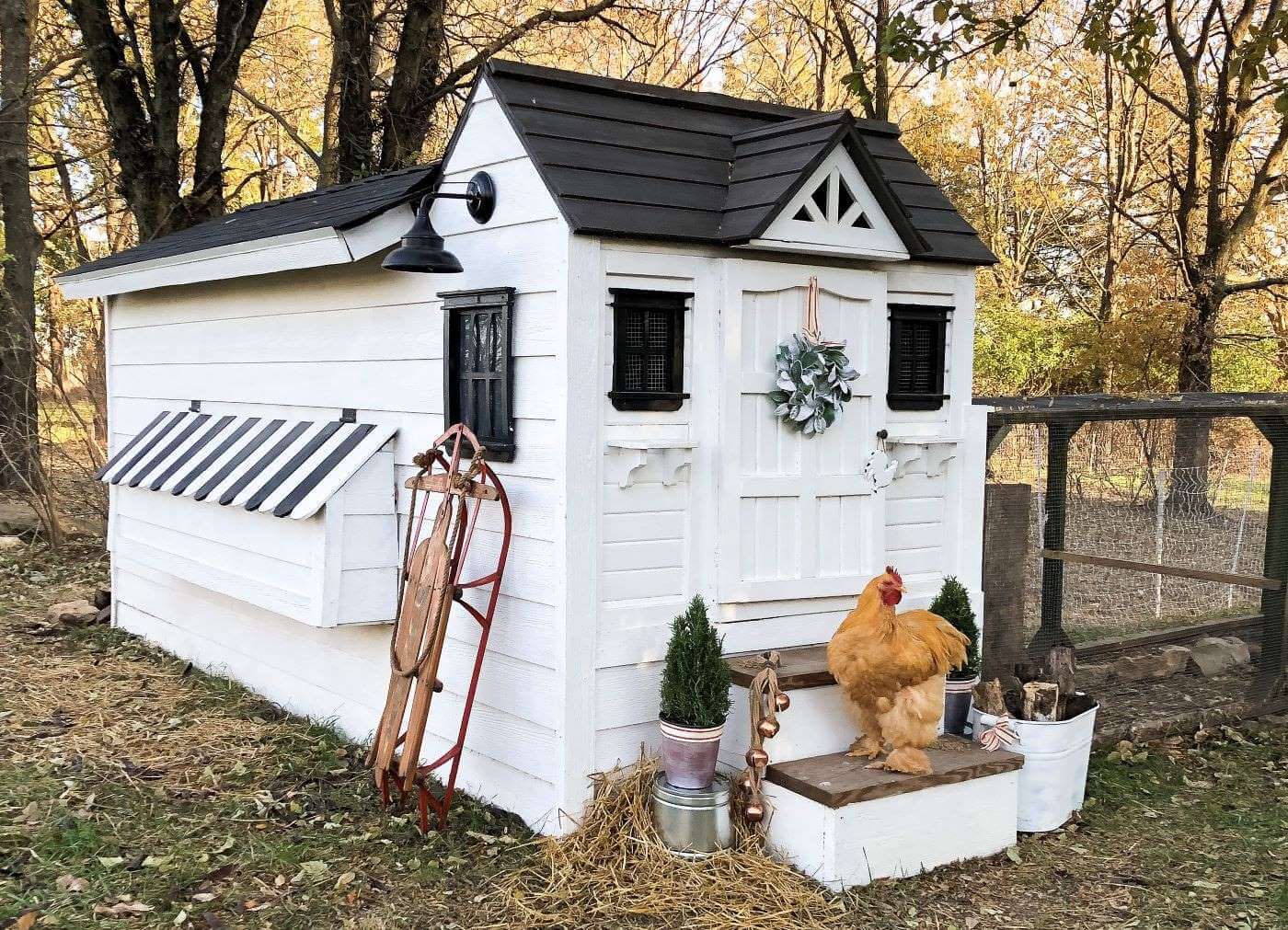 Winterize the chicken coop with festive decor for winter
