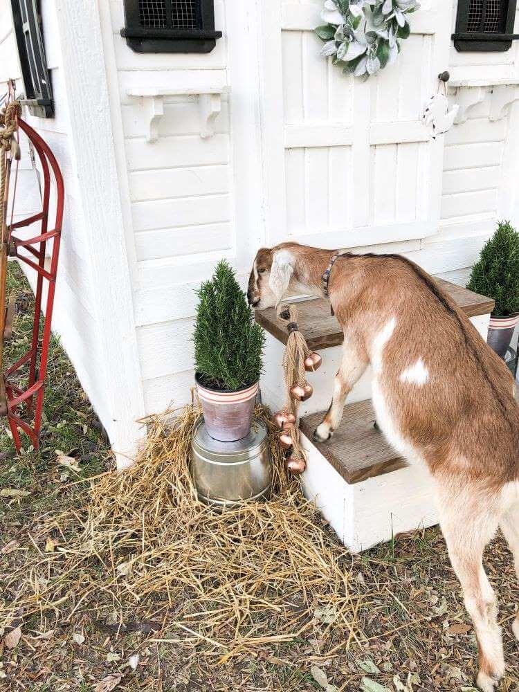 winterize the homestead with bells and and a sled