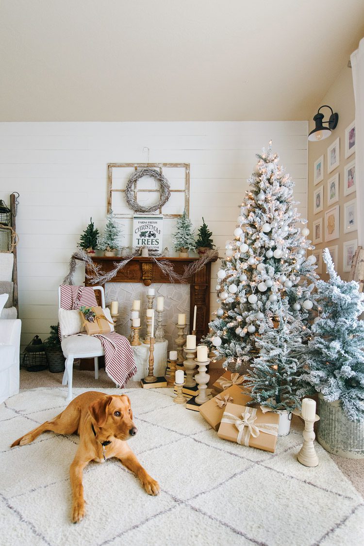 The family dog lying in front of the neutrally decorated Christmas tree.