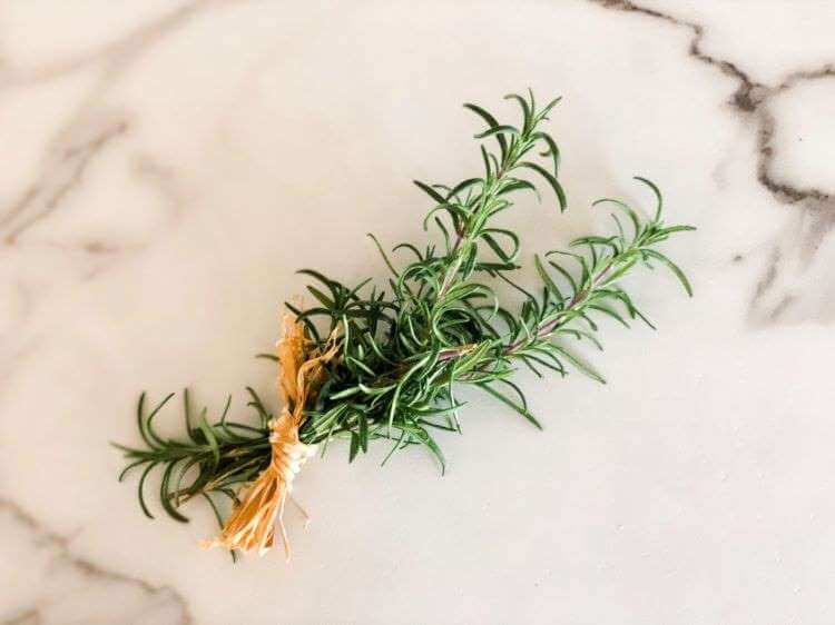 fresh rosemary for winterizing your homestead