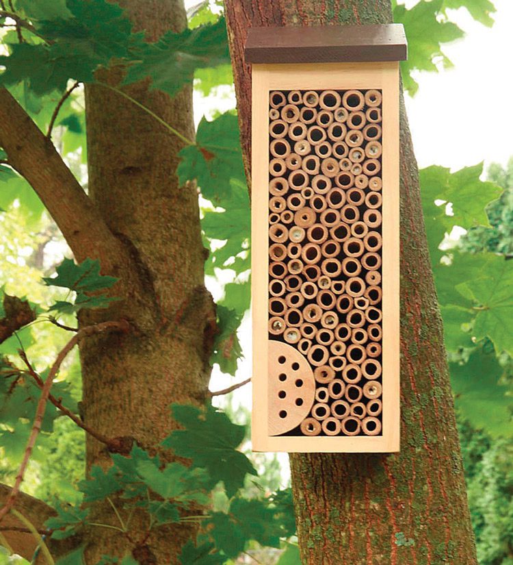 Rectangular wood and bamboo bee habitat attached to an outside tree.