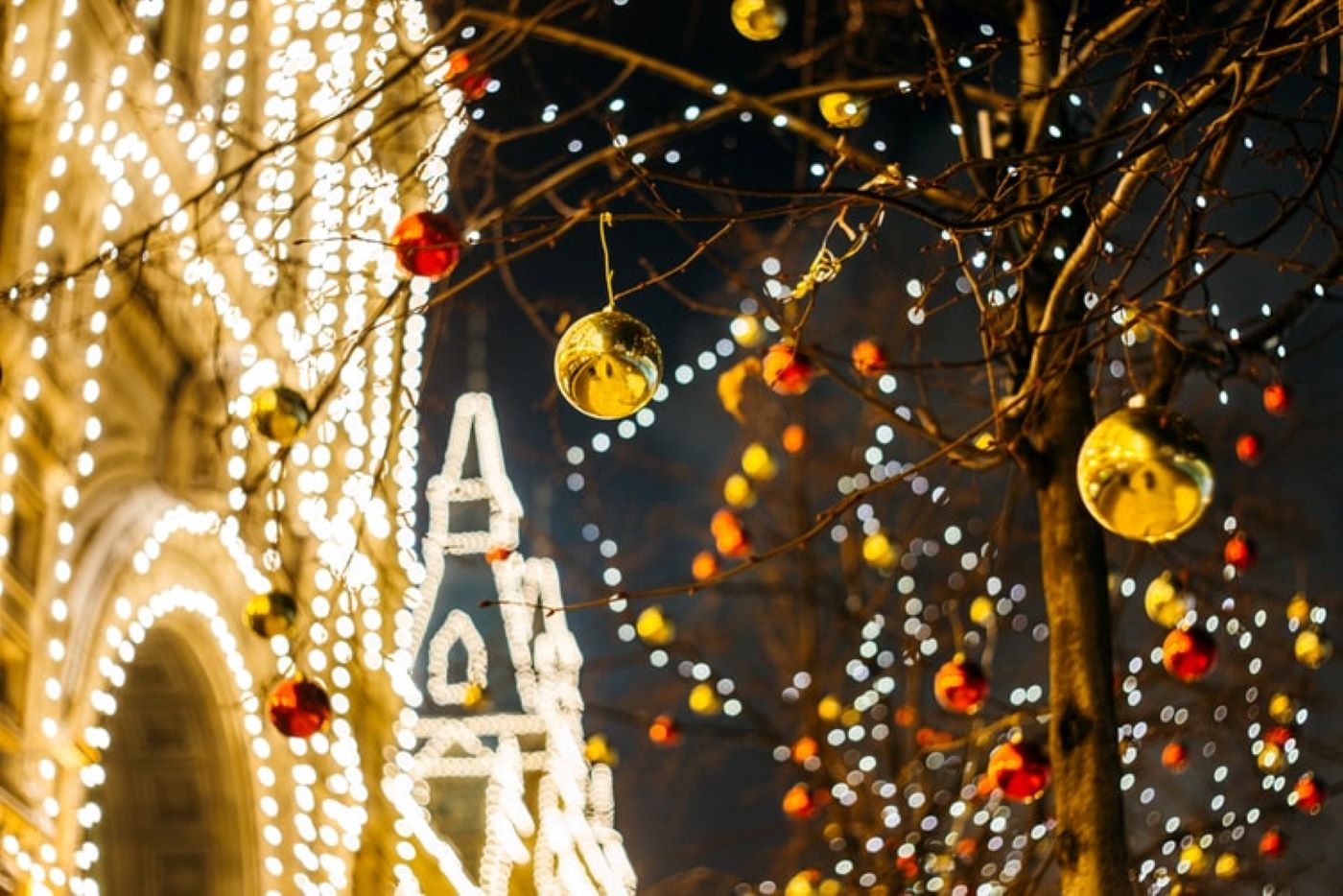 Trees with Christmas baubles in red and silver hanging from their branches