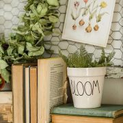 House plants on mantel with vintage books