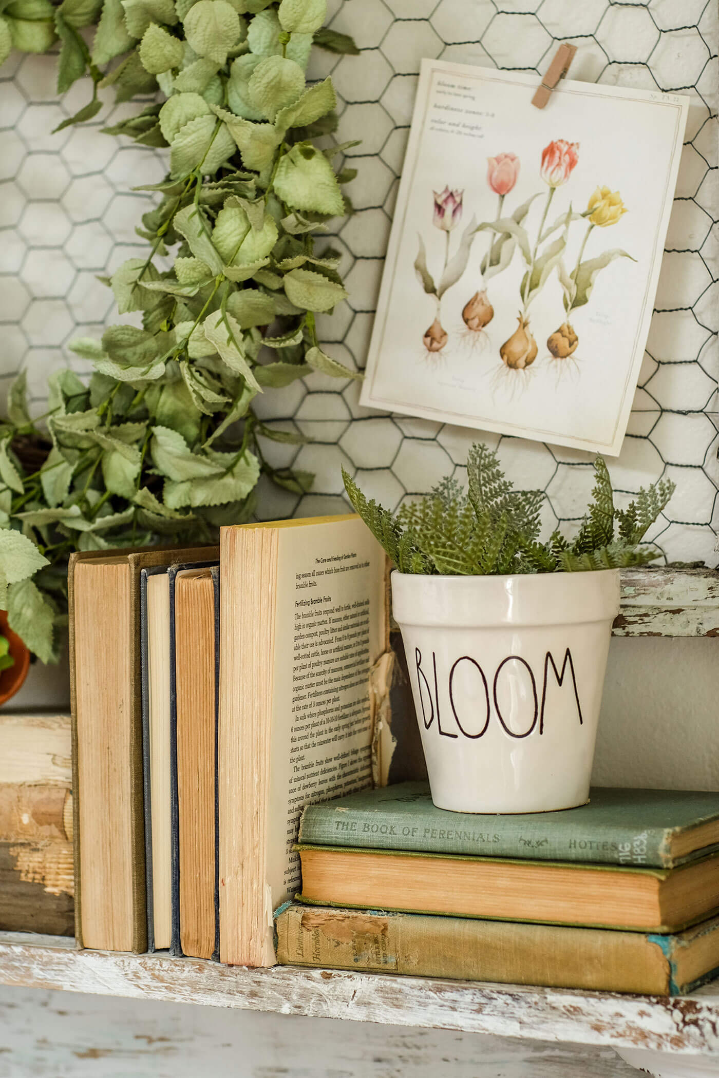 House plants on mantel with vintage books