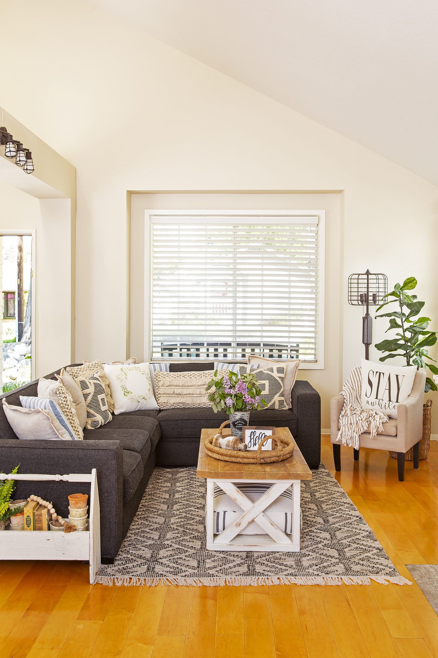 Farmhouse style living room of a healthy room.