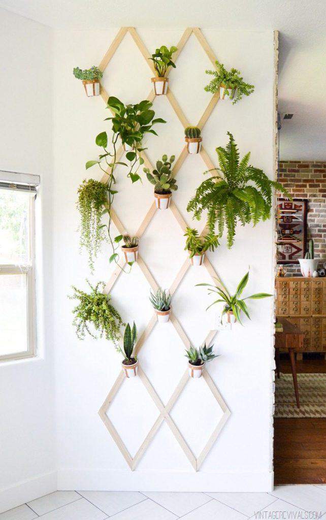 Small potted house plants attached to an indoor DIY trellis.