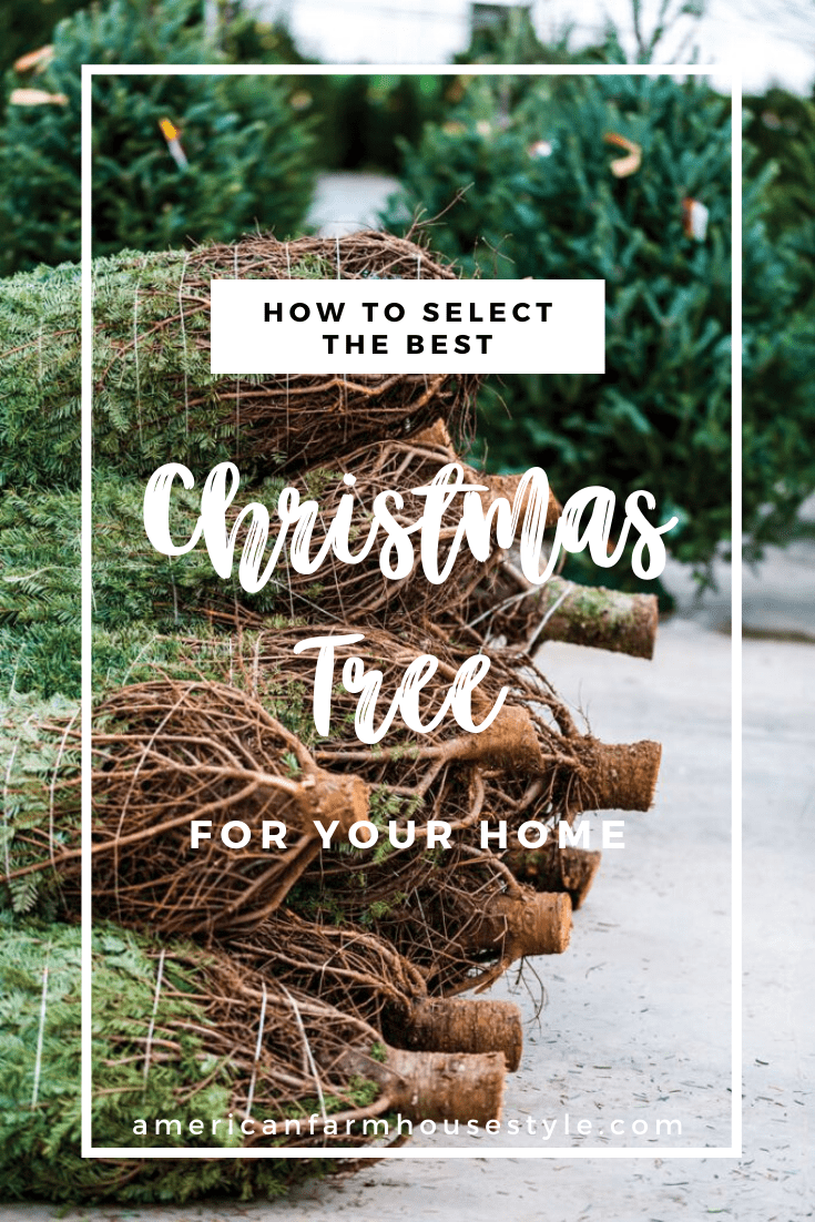 The Best Christmas Tree To Get American Farmhouse Style