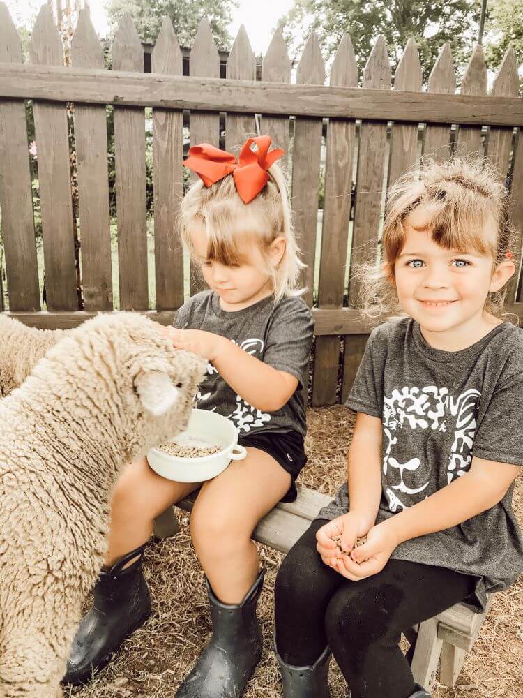 Two young girls feed babydoll sheep on a hobby farm.