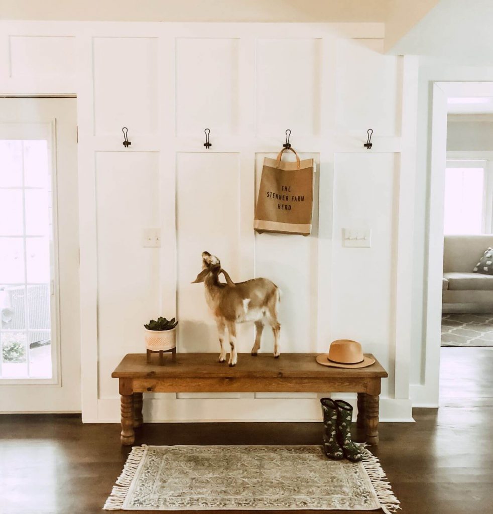 A baby goat looks up at the complete board and batten mudroom wall
