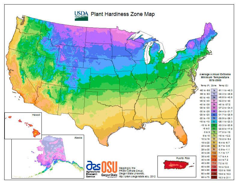 USDA plant hardiness zone map