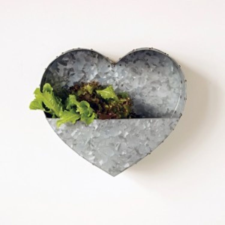 A planter made from galvanized metal and shaped like a heart