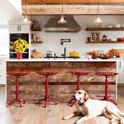 Rustic kitchen with metal accents and dog sitting in front