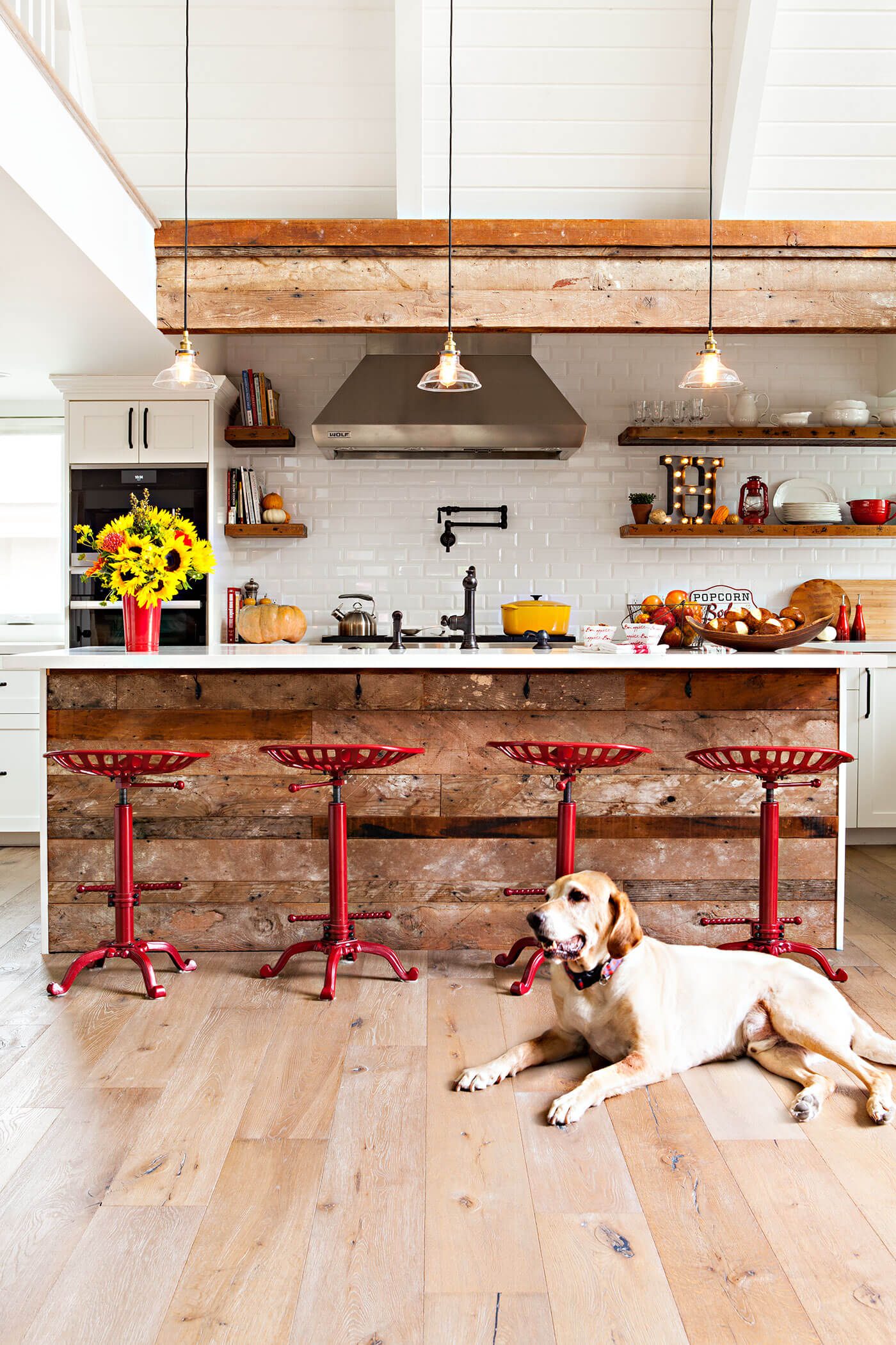 Rustic kitchen with metal accents and dog sitting in front