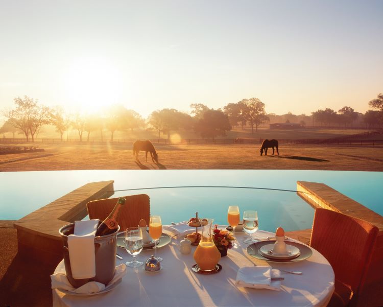 A view from a breakfast table loaded with orange juice looking out on the pasture full of grazing horses.