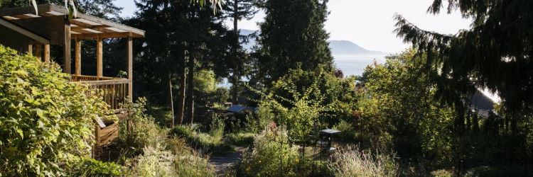 View of washignton pine trees overlooking a mountain region for spring break destinations