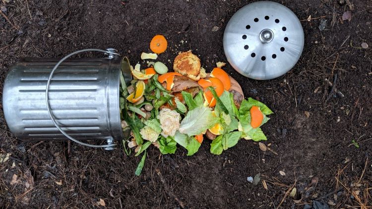 steel compost bin on its side with compost of orange peels and veggies