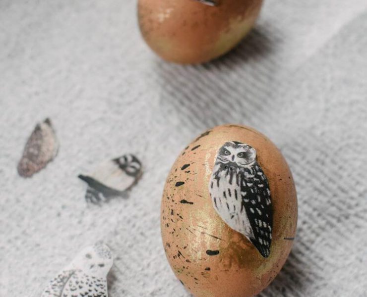 An hardboiled egg covered in a paper owl and painted to look like a giant robin egg
